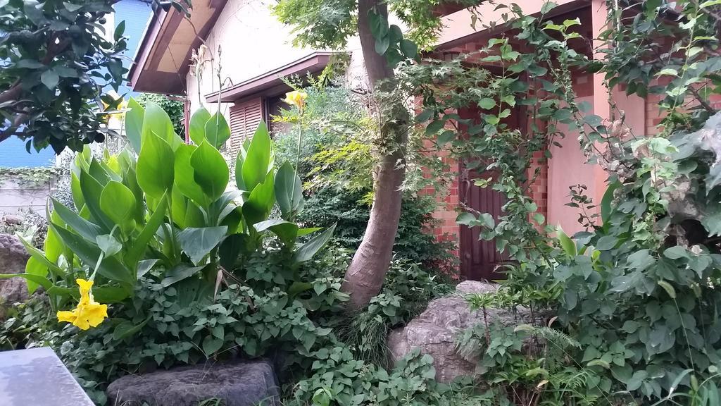 "Cherry House" Is Direct To Narita,Haneda Ap, Disney, Asakusa, Skytree Tower, Tokyo Мацудо Экстерьер фото