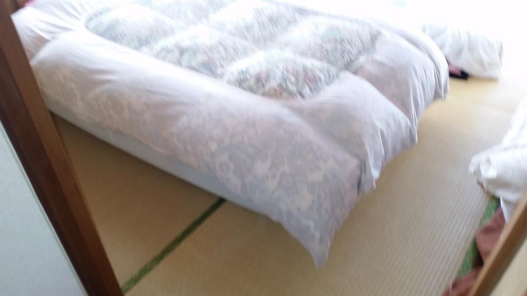 "Cherry House" Is Direct To Narita,Haneda Ap, Disney, Asakusa, Skytree Tower, Tokyo Мацудо Экстерьер фото