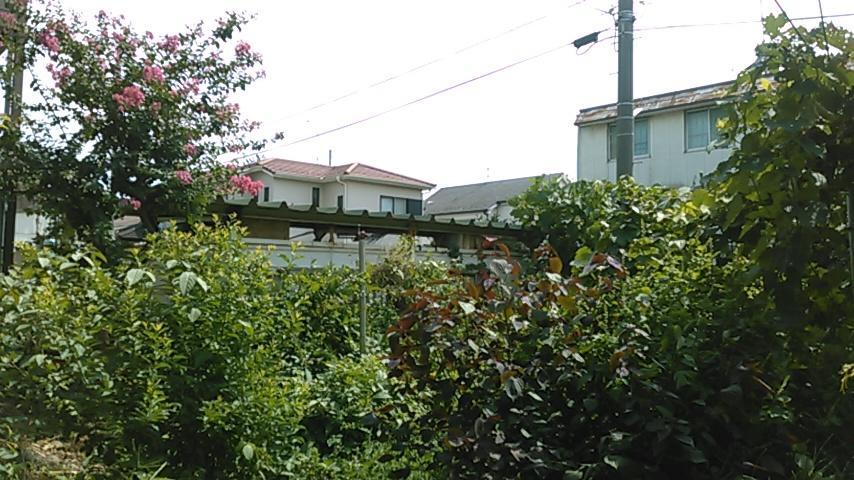 "Cherry House" Is Direct To Narita,Haneda Ap, Disney, Asakusa, Skytree Tower, Tokyo Мацудо Экстерьер фото